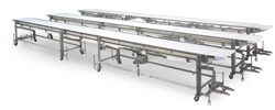 Custom Food Grade Ever-Kleen® Conveyor Systems