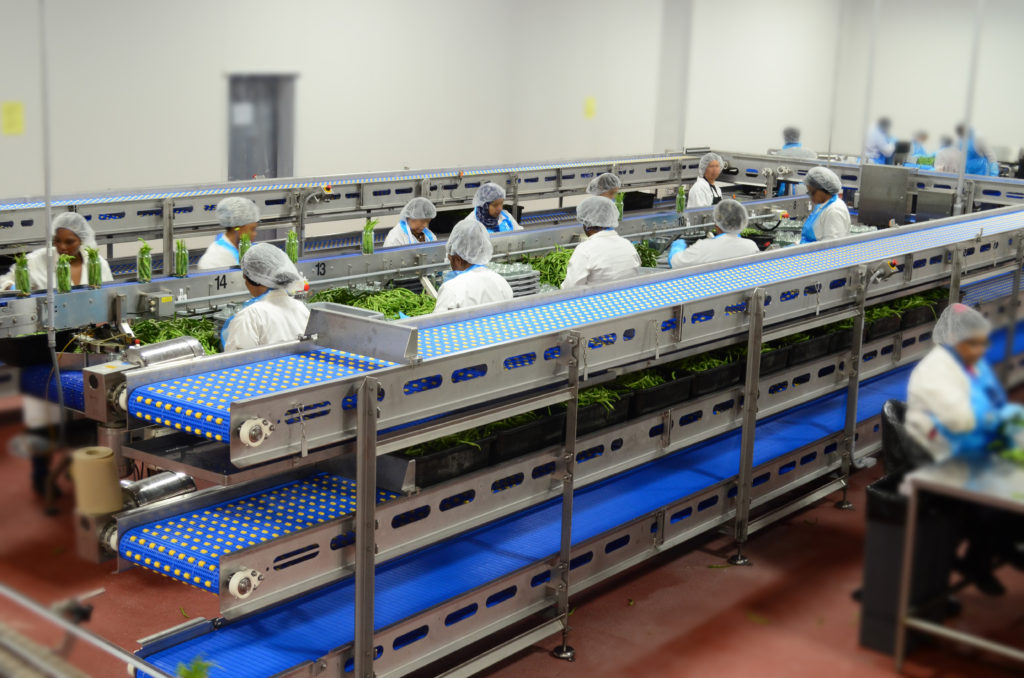 7 Electroculture Gardening Secrets That Supercharge Your Harvest In 2026